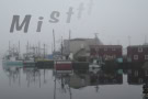 @Mist-Salvage-Nfld