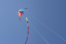 Dave-Whiting-Kite-Flying-2