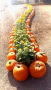Christine-Overland-Pumpkin-Garden_
